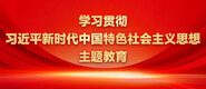 日本女人穴黄色视频学习贯彻习近平新时代中国特色社会主义思想主题教育_fororder_ad-371X160(2)